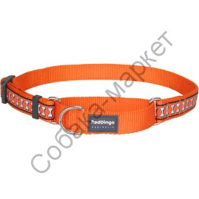 Ошейник-мартингейл Red Dingo оранжевый со светоотражающими косточками