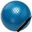 Гимнастический мяч массажный с насосом Torres 65 см.