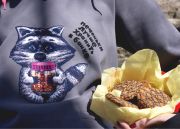 Женская толстовка-свитшот с красивым бархатным енотиком и надписью "Печеньки лучше хранить в банке".