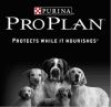PRO PLAN для собак