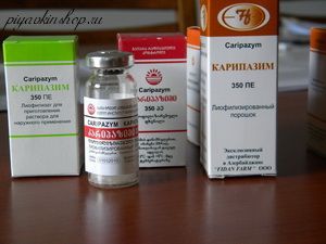 Купить Мазь Карипазим В Белгороде Цена