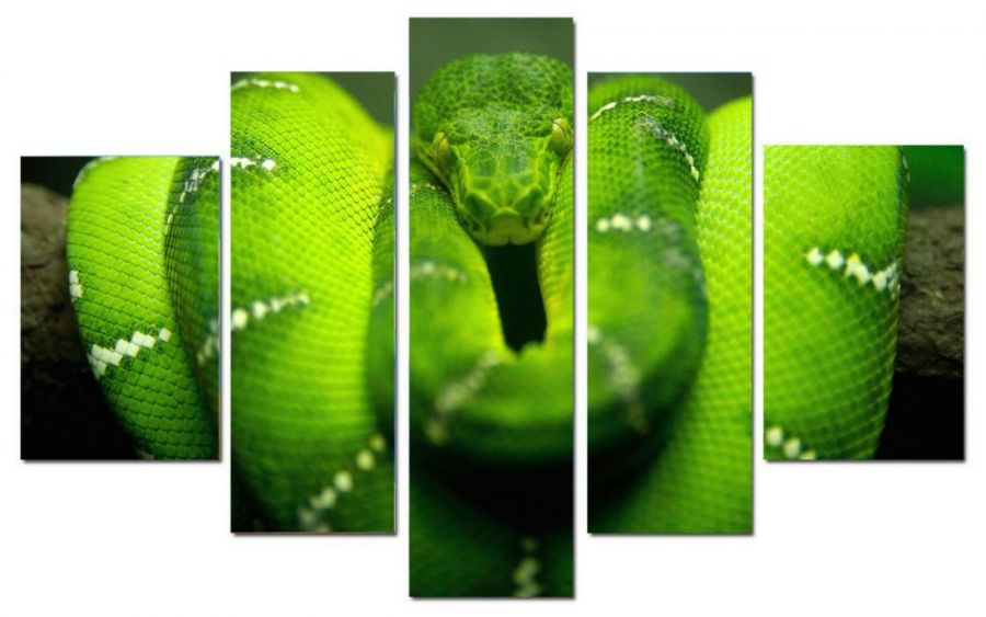Модульная картина Зеленая змея