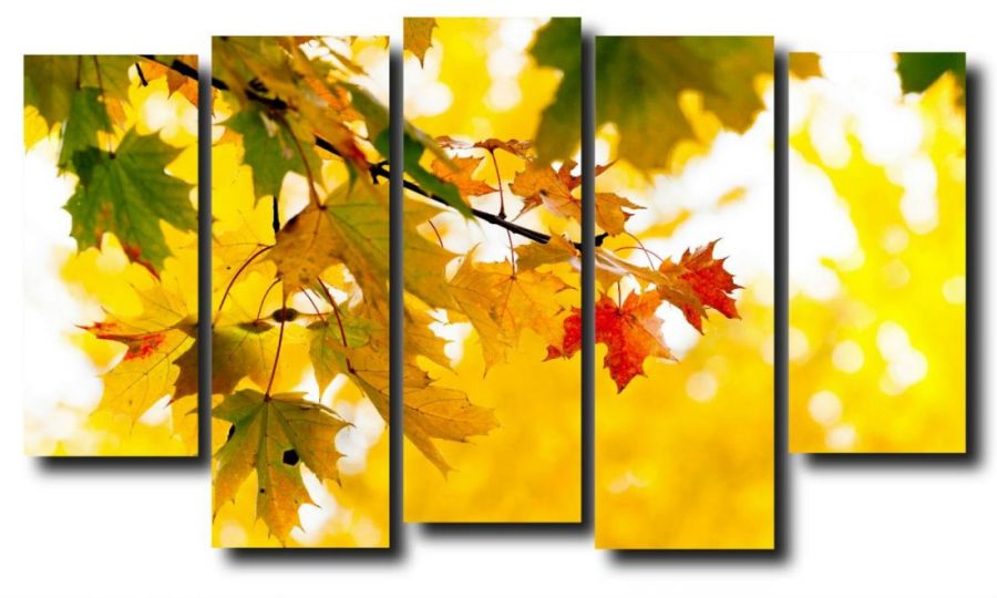 Модульная картина Природа. Осень. Кленовые листья