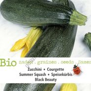 Кабачок сорт "БЛЭК БЬЮТИ БИО"  (Black Beauty BIO)  14 семян