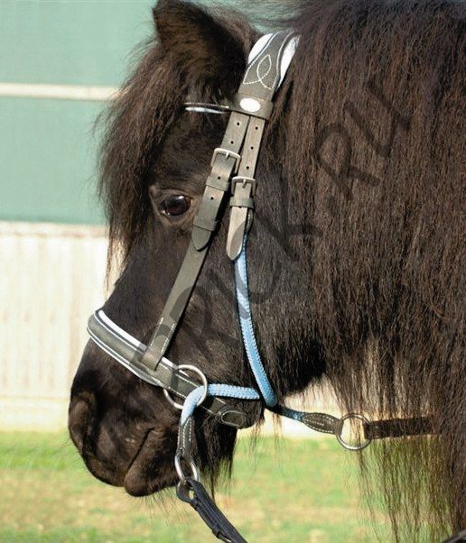 Беcтрензельная уздечка для пони Barefoot Walnut Pony Bellis