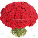 51 и 101 красная роза (40 см)