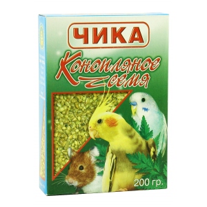 конопляные семена чика