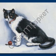 Черно-белая кошка магнит США