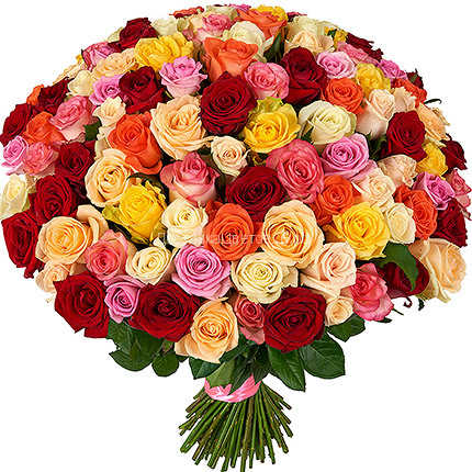 51 и 101 разноцветная роза (Высота 40 см.)