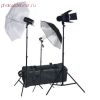 Комплект света Fancier FAN015 с тремя вспышками 160x2+45, шторками и зонтами (365 Дж)