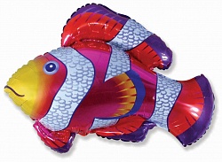 Рыба-клоун, 34"/ 86 см