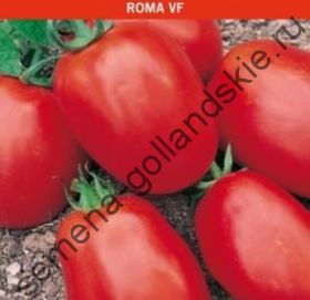 Томат "РОМА ВФ" (Roma VF) 10 семян