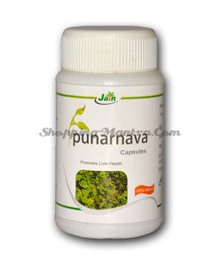 Пунарнава против инфекций мочевыводящих путей Джайн Аюрведик |Jain Ayurvedic Punarnava Capsules
