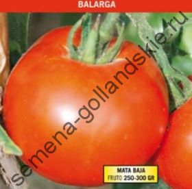 Томат "БАЛАРГА" (Balarga) 10 семян