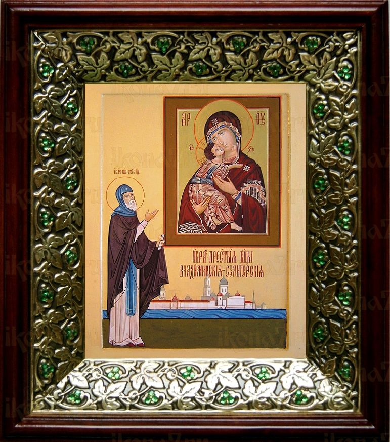 Владимирская Селигерская икона Божьей Матери (21х24), киот со стразами
