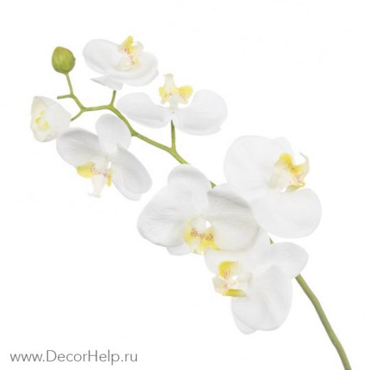 Орхидея белая арт: DCF001