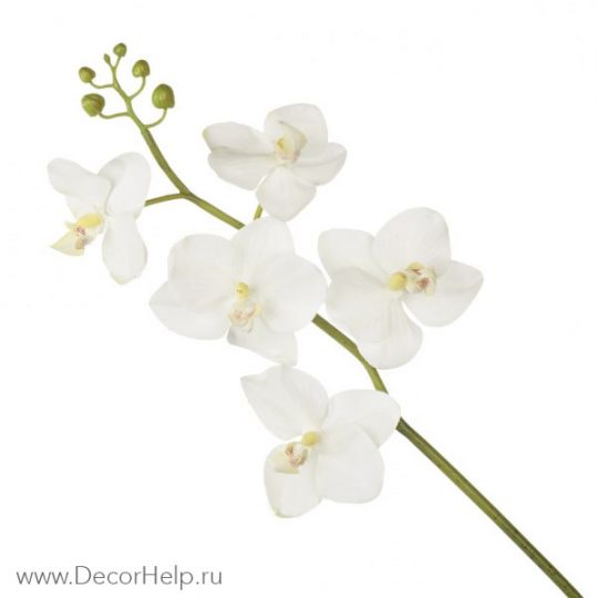 Орхидея белая (10шт) арт: DCF005