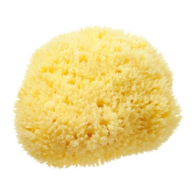 Sponge купить. Губка морская, натуральная. Натуральная губка для тела. Натуральная губка для мытья. Мочалка из натуральной морской губки.