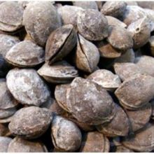 Абрикосовые косточки соленые в скорлупе Узбекистан от 1 кг