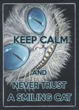 KEEP CALM and never trust a smiling cat.