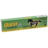 Quest gel (моксидектин), 1 шприц