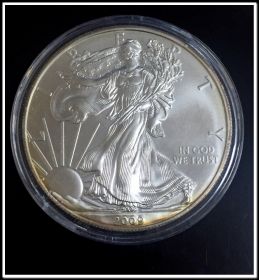 1 доллар Шагающая свобода (Ag999 серебро), 2009г. в капсуле