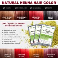 Натуральная краска на основе хны (светло-коричневый) Аллин Экспортерс | Allin Exporters Light Brown Henna Hair Color