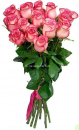 Элитные высокие (80-90 см) розовые импортные розы