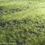 Искусственный декоративный мох в рулоне на мягкой подкладке. Ширина рулона 1м, длина 10м