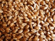 Пшеница Россия  1 кг