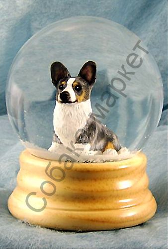 Вельш корги кардиган шар водяной США