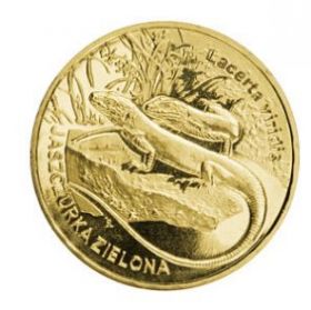 Европейская зеленая ящерица - Lacerta viridis монета 2 злотых 2009