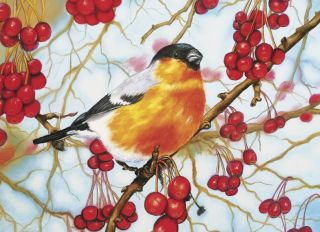 Почтовая открытка Снегирь в ягодах