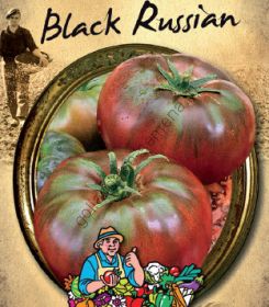 Томат сорт "БЛЭК РАШН" (BLACK RUSSIAN) 40 семян