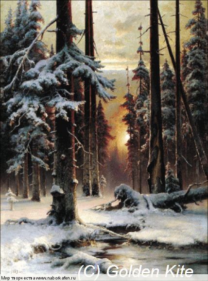 1683. Winter Sunset in the Fir Forest (small)