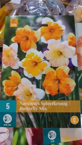 Нарцис spleetkronig butterfly mix
