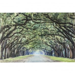 Картина Avenue of Trees, коллекция Аллея