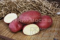 КАРТОФЕЛЬ МАЯК элита, 2 кг