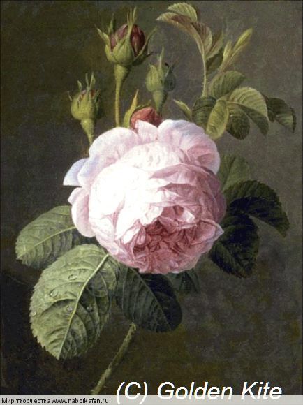 1496 Rose