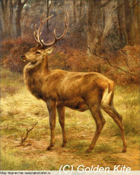 2342 Stag in an Autumn Landscape