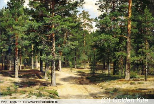s1913 Sestroretsk Pine Forest - Solid colors