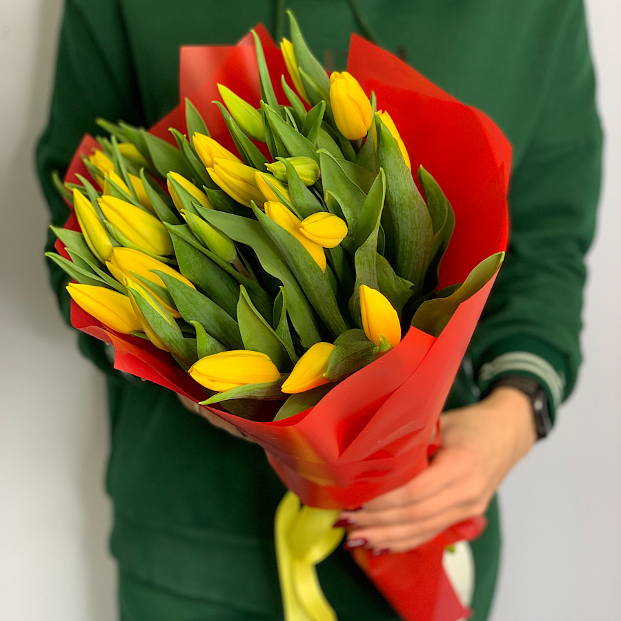 Тюльпаны 25 шт (любой цвет)