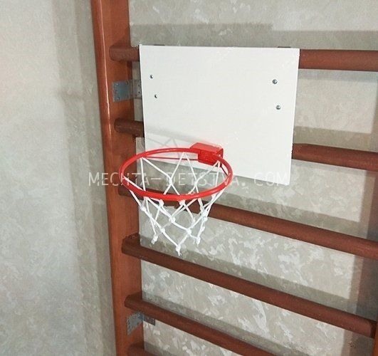 Кольцо баскетбольное с щитом и сеткой