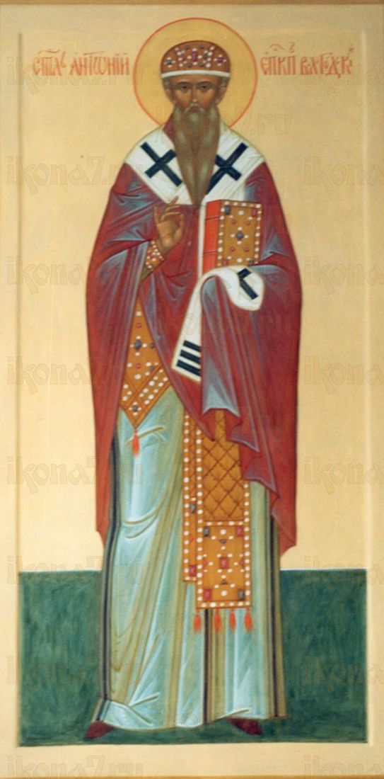 Икона Антоний Вологодский святитель