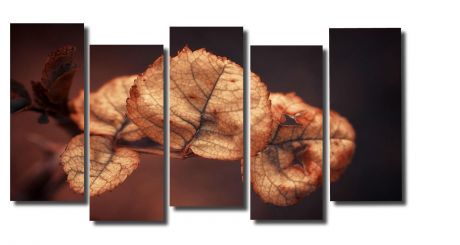 Модульная картина Макро листья