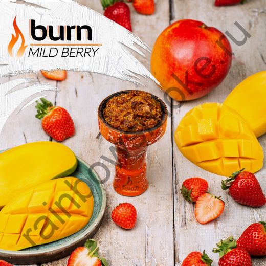 Burn 100 гр - Mild Berry (Милд Бэрри)