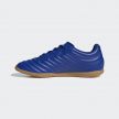 ФУТЗАЛКИ ADIDAS COPA 20.4 IN
