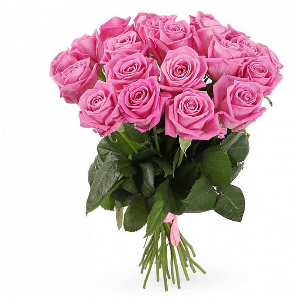 Розы розовые Эквадор от 11 шт. (Премиум класс)