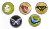 Бабочки Набор монет  2 писо Палау-Пинанг 2020 (5 монет)