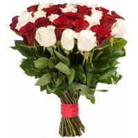 25 бело-красных роз 60 см, перевязанных атласной лентой
